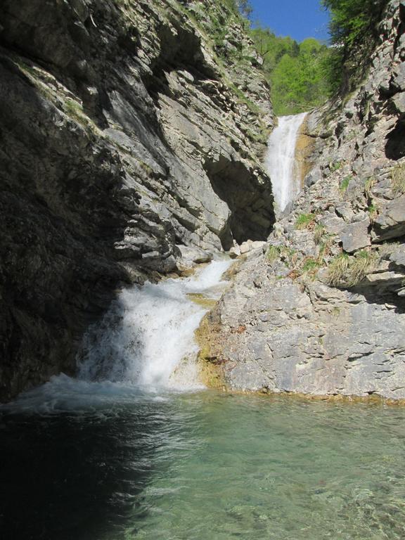 B&B L'Asinello Rampante Arta Terme Bagian luar foto