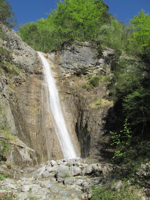 B&B L'Asinello Rampante Arta Terme Bagian luar foto