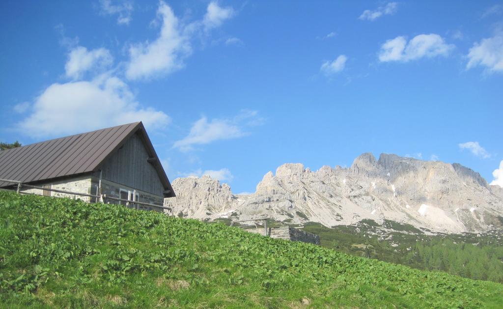 B&B L'Asinello Rampante Arta Terme Bagian luar foto