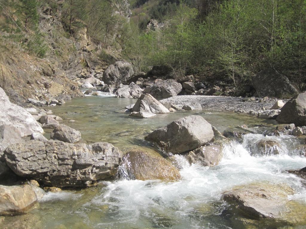 B&B L'Asinello Rampante Arta Terme Bagian luar foto