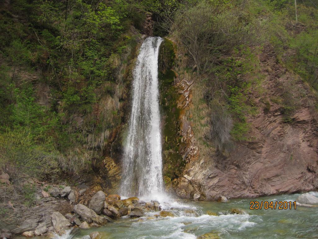 B&B L'Asinello Rampante Arta Terme Bagian luar foto