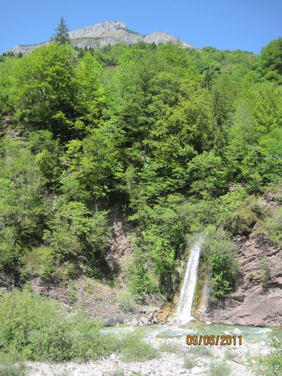 B&B L'Asinello Rampante Arta Terme Bagian luar foto