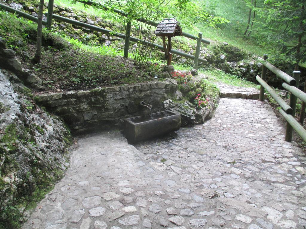 B&B L'Asinello Rampante Arta Terme Bagian luar foto