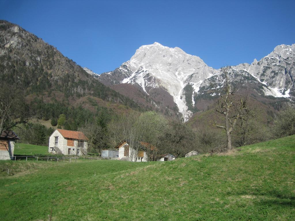 B&B L'Asinello Rampante Arta Terme Bagian luar foto