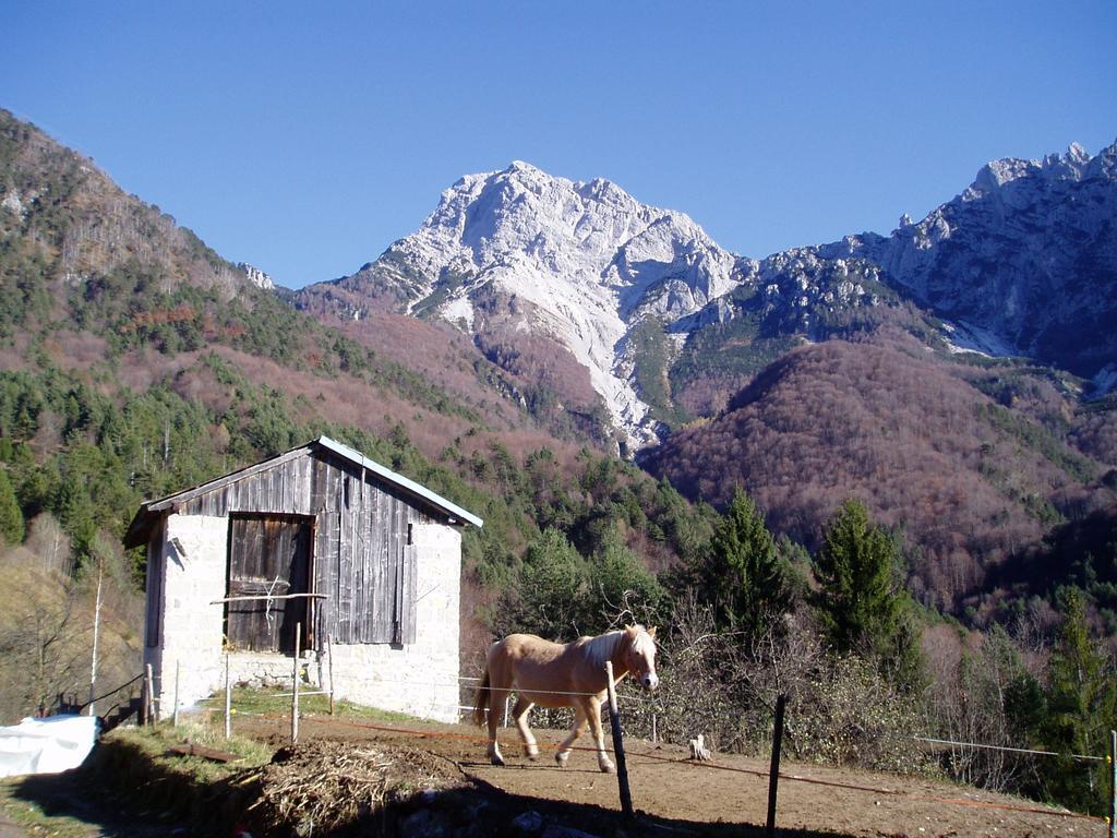 B&B L'Asinello Rampante Arta Terme Bagian luar foto